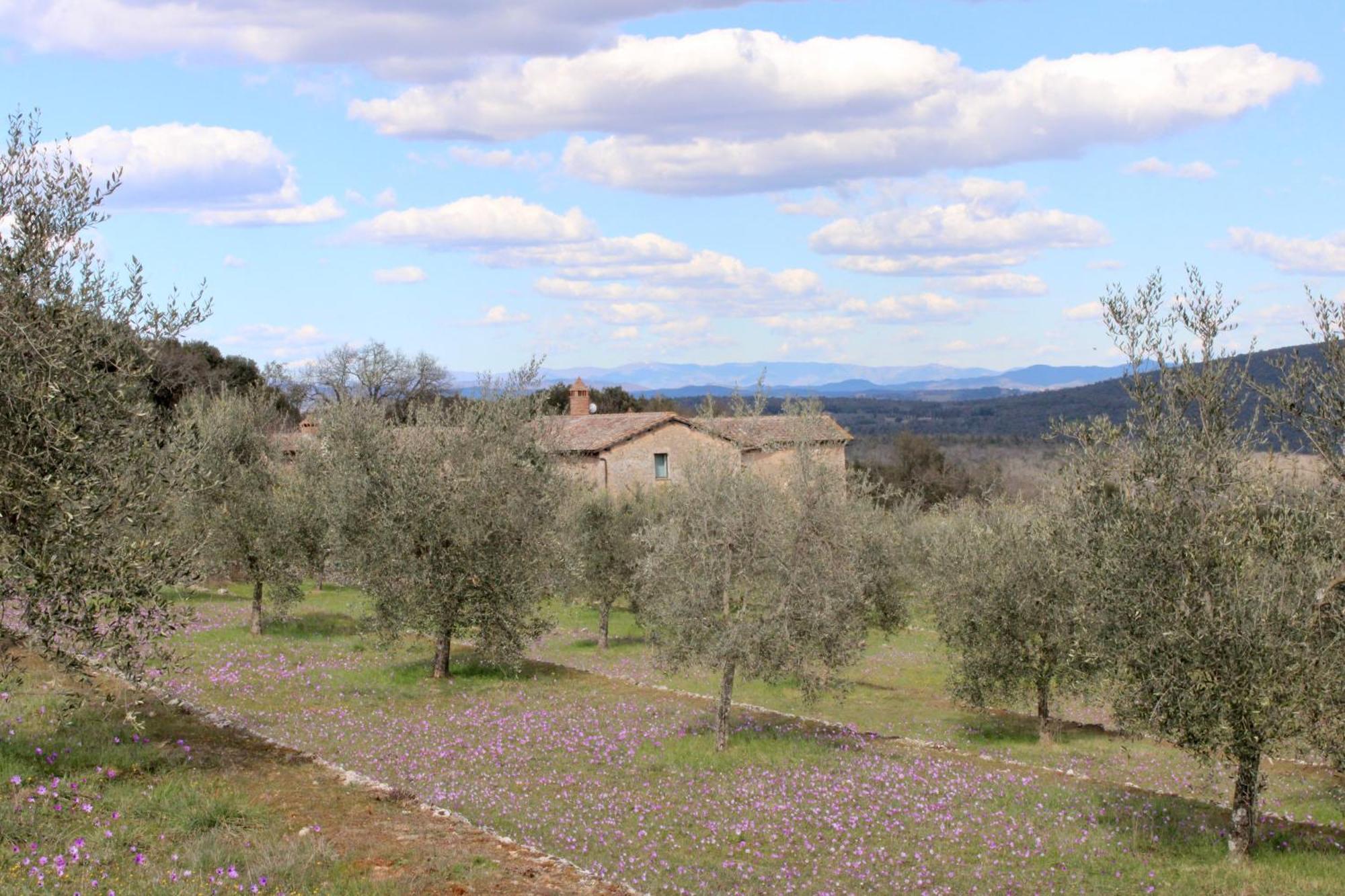 Farm stay Il Caggio *