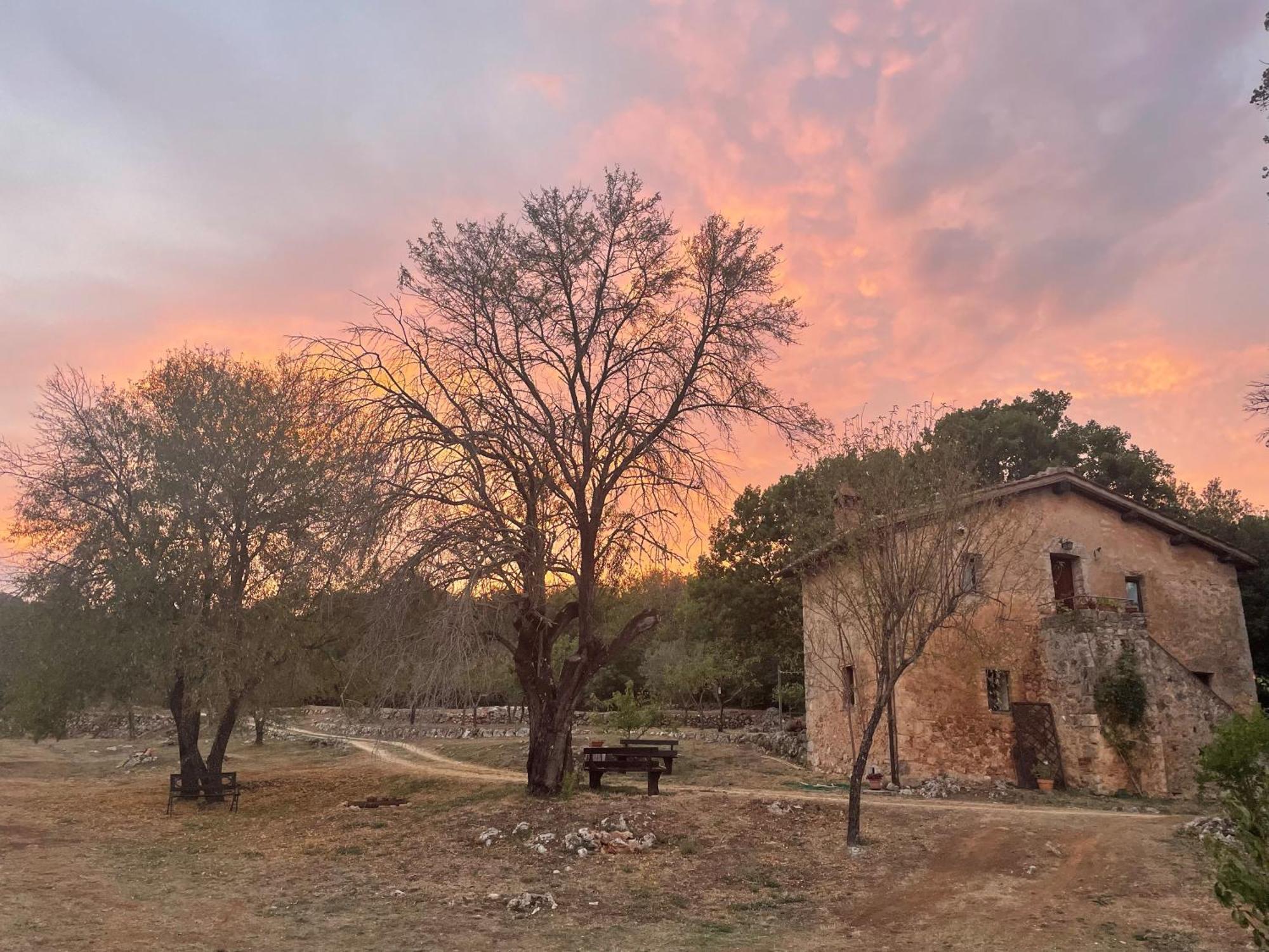 Farm stay Il Caggio